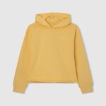 Shine Cotton Hoodie Pepe Jeans L20F2F1414 Girl