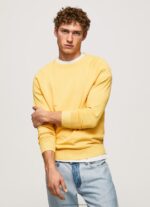 Shine Round Collar Cotton Jersey Pepe Jeans L20F2F862 Men