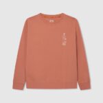 Squash Orange Skater Cotton Jumper Pepe Jeans L20F2F1584 Boy